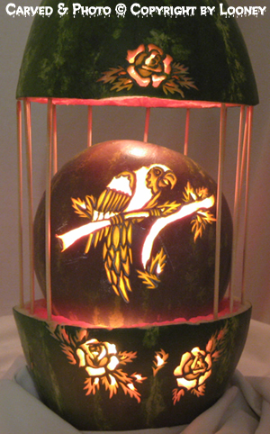 Bird Cage