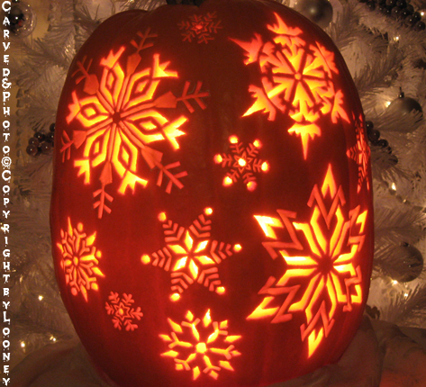 Other Holidays Looney Custom Carved Pumpkins & Magic Melons