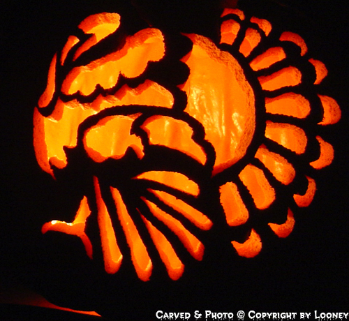 TomTurkey