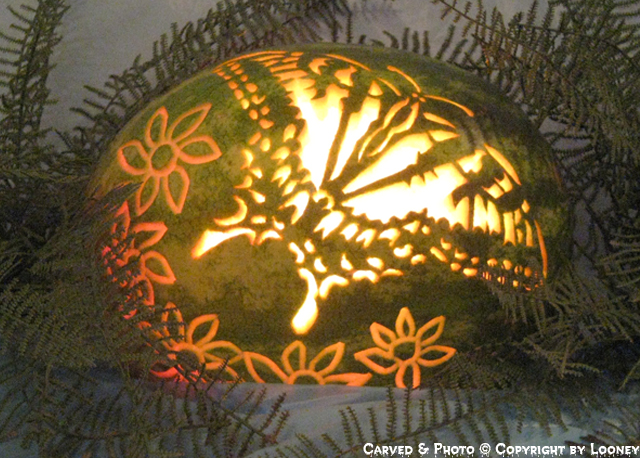 ButterflyFlowers