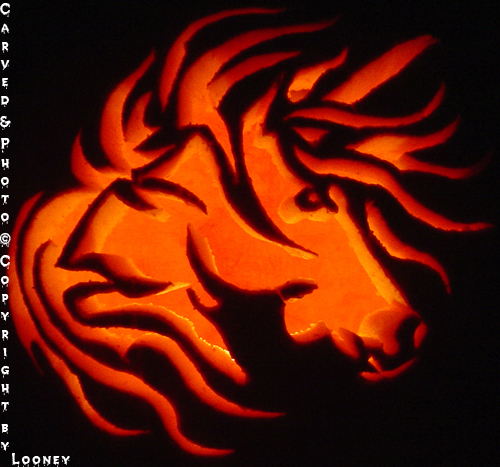 Unicorn