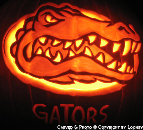 FLGators.jpg (209842 bytes)