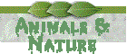 Whimsical, Animals and Nature